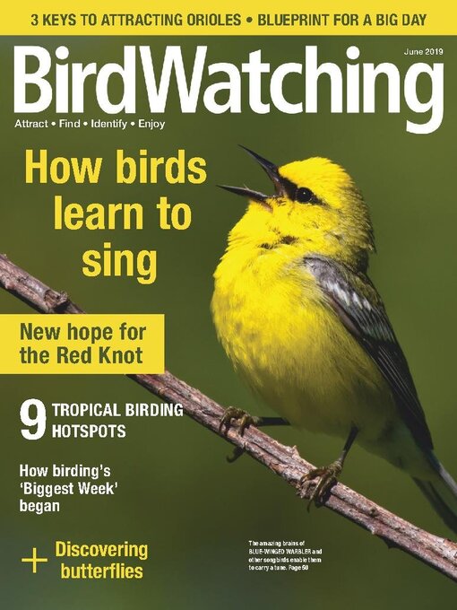 Title details for BirdWatching by Madavor Media, LLC - Available